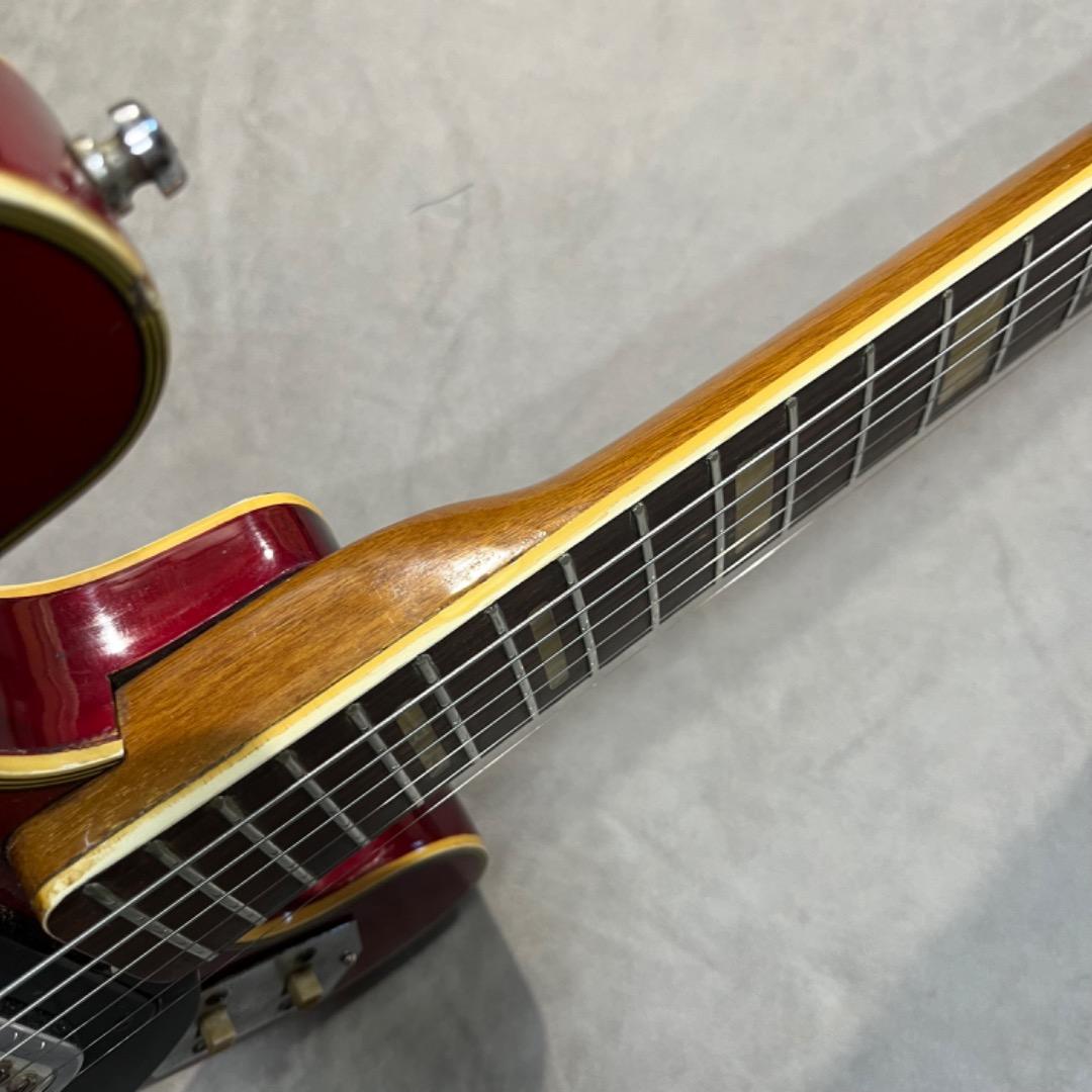 taro takenoko専用　Greco EG-135 1960年代