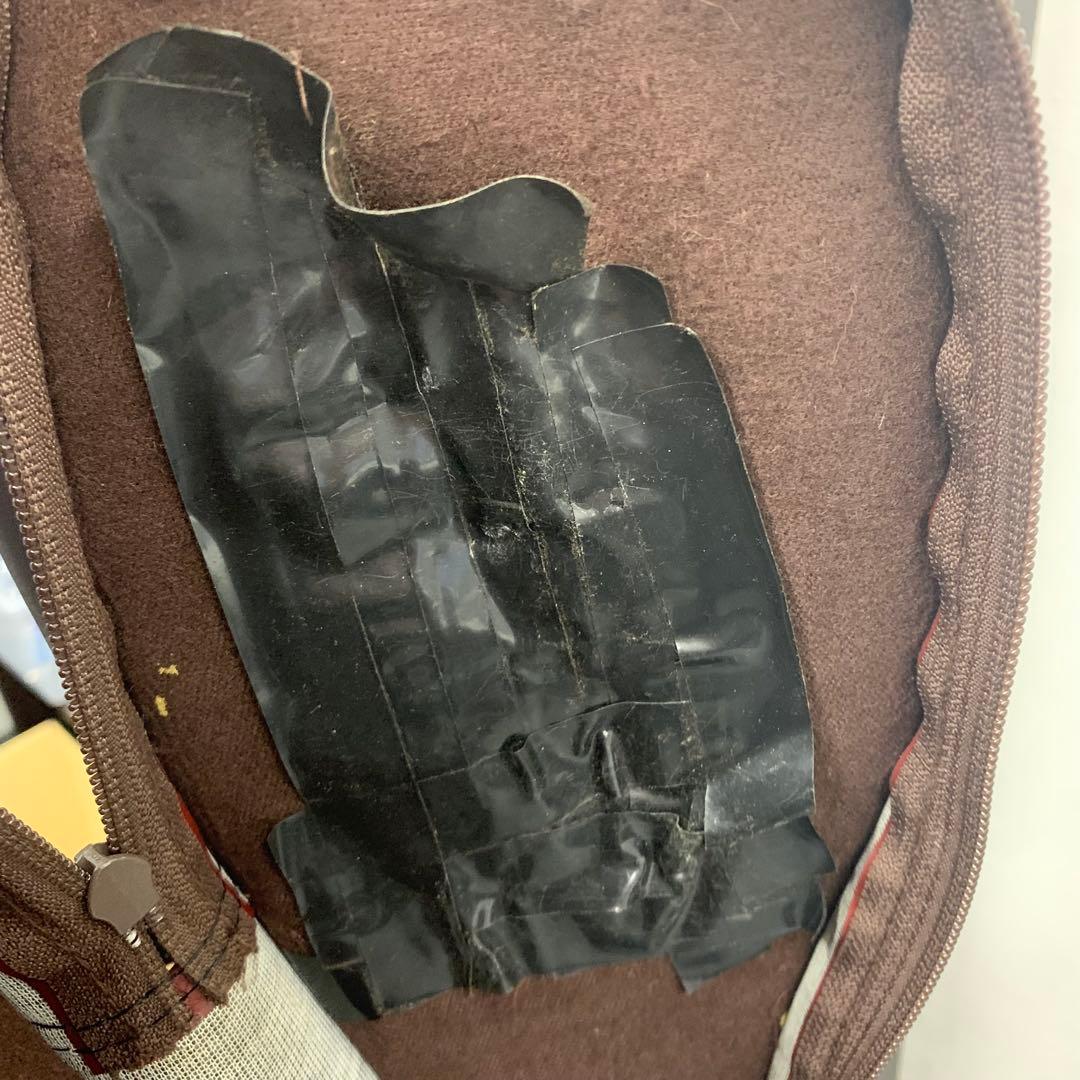 Aria Pro II RS Wildcat エレキギター