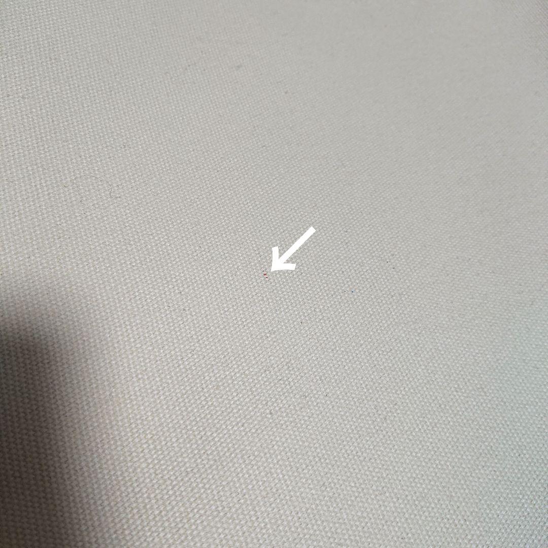 timelesz FAM ペンライト ツアーバッグ バッグ タイムレス