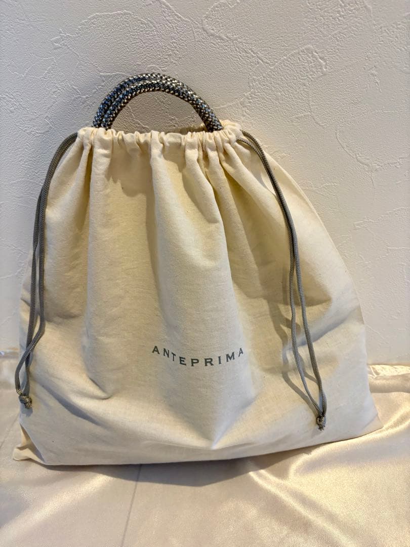 アンテプリワイヤーバッグ