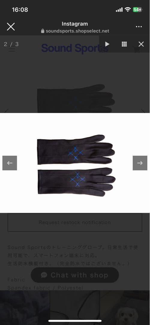 サウンドスポーツ　Sound Sports SS glove 手袋