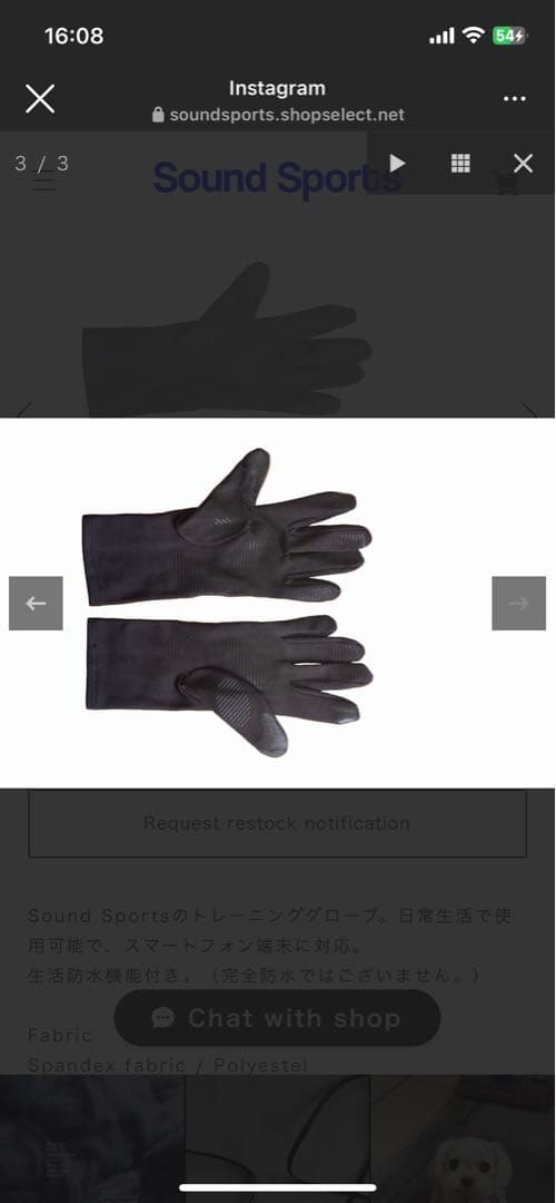 サウンドスポーツ　Sound Sports SS glove 手袋