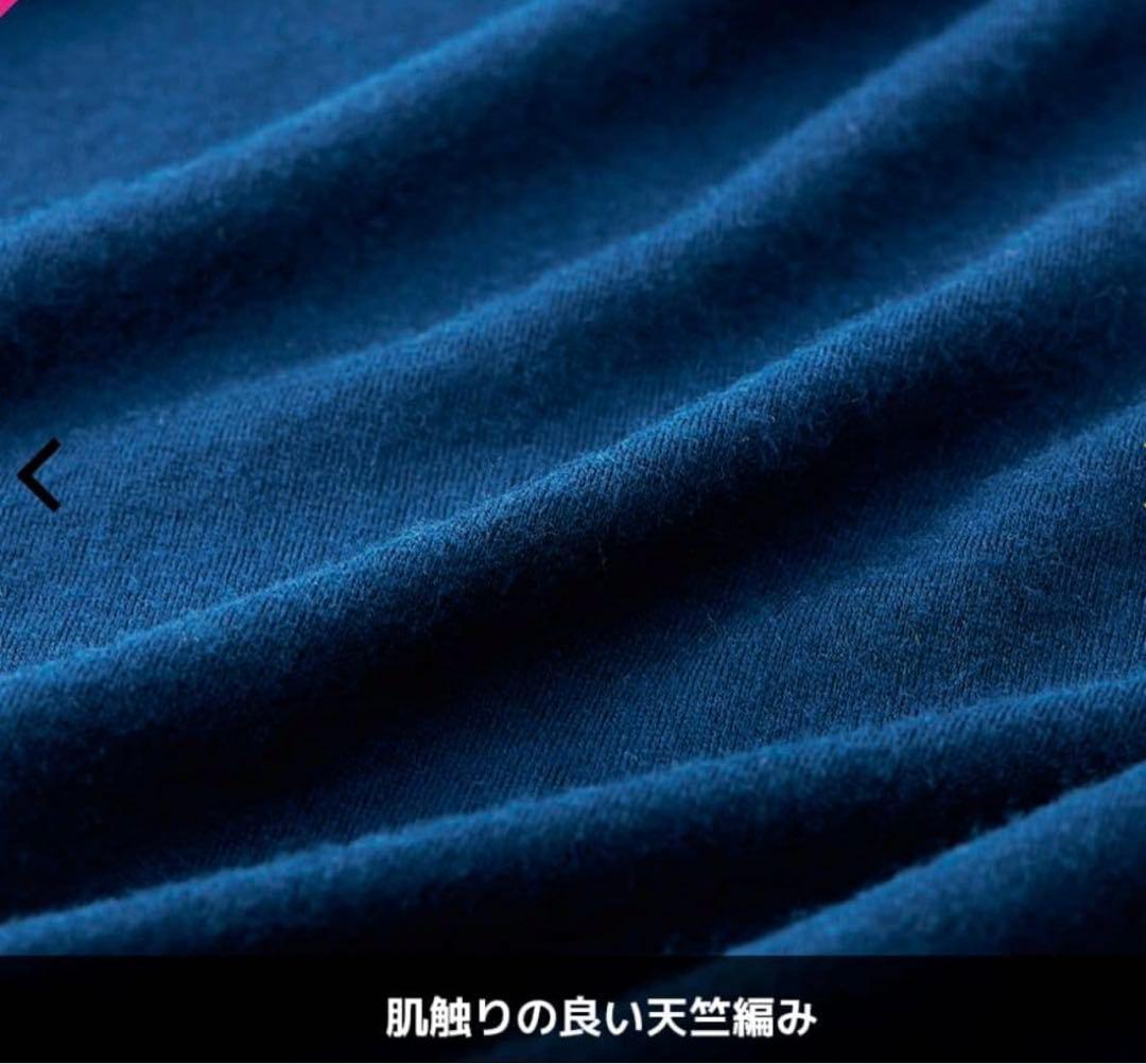 ワークマン メリノウール 100% Lサイズ　6枚セット　美品　ハズム　なかむ