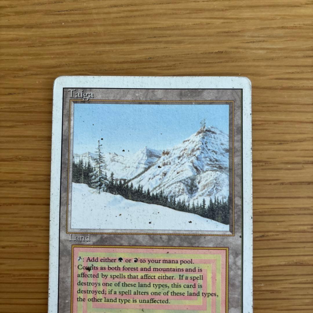 Taiga マジック：ザ・ギャザリング 土地カード