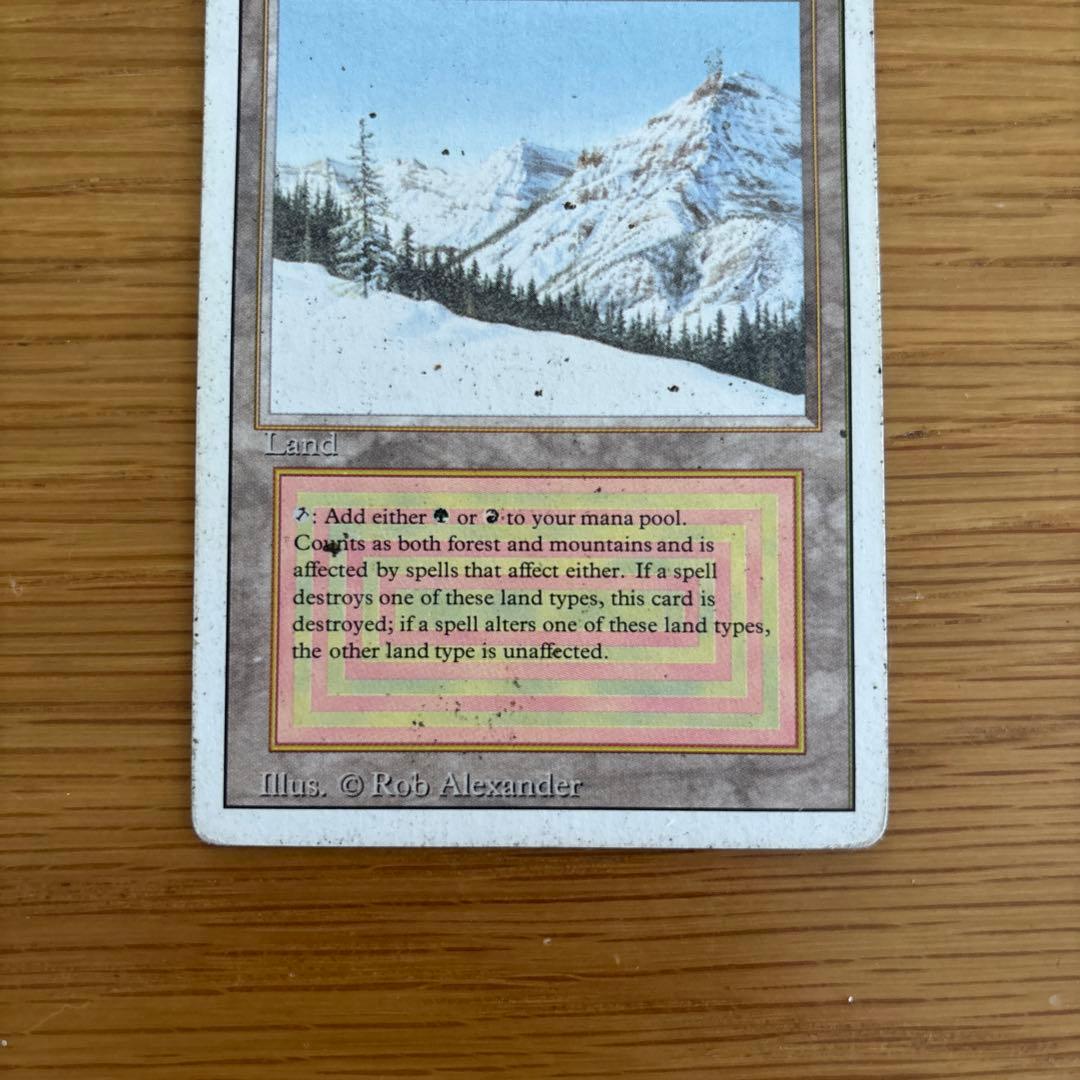 Taiga マジック：ザ・ギャザリング 土地カード