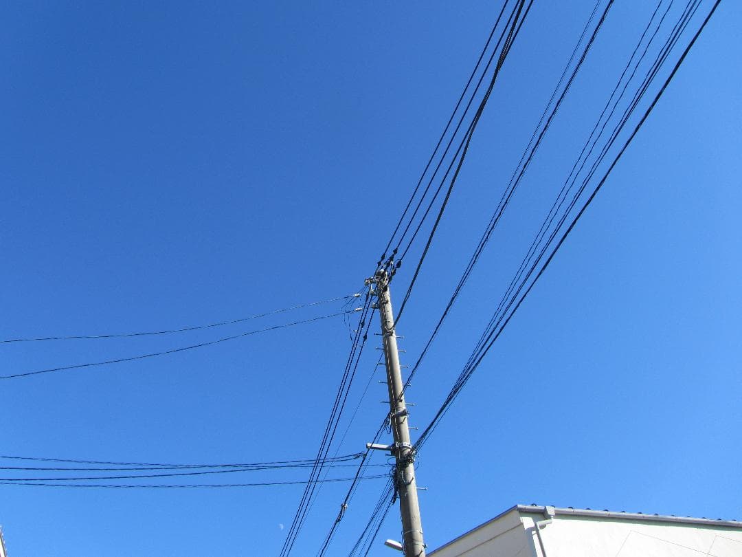 Canon PowerShot SX210 IS キャノン パープル デジカメ