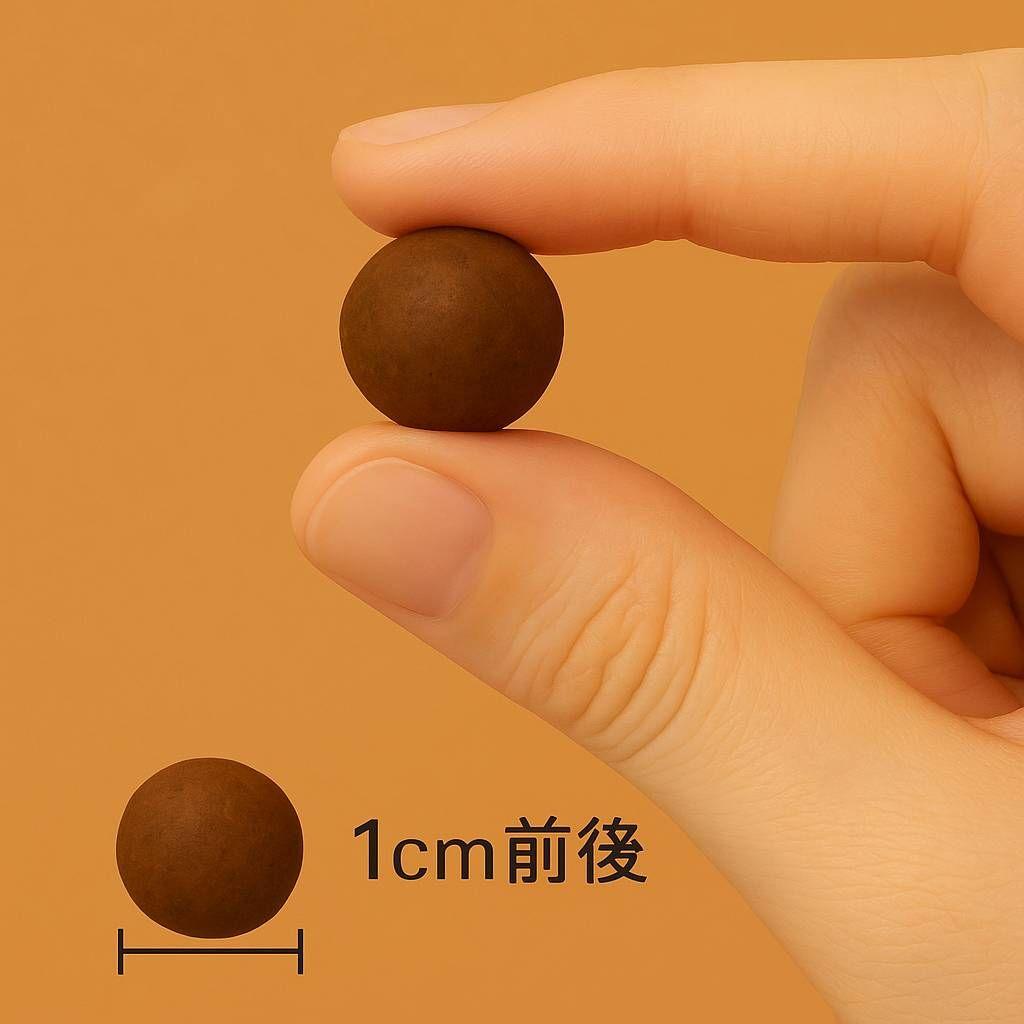 ぐんぐん玉 × ビーシュリンプ飼育用（磁性かんらん岩ボールメダカや金魚にも最適