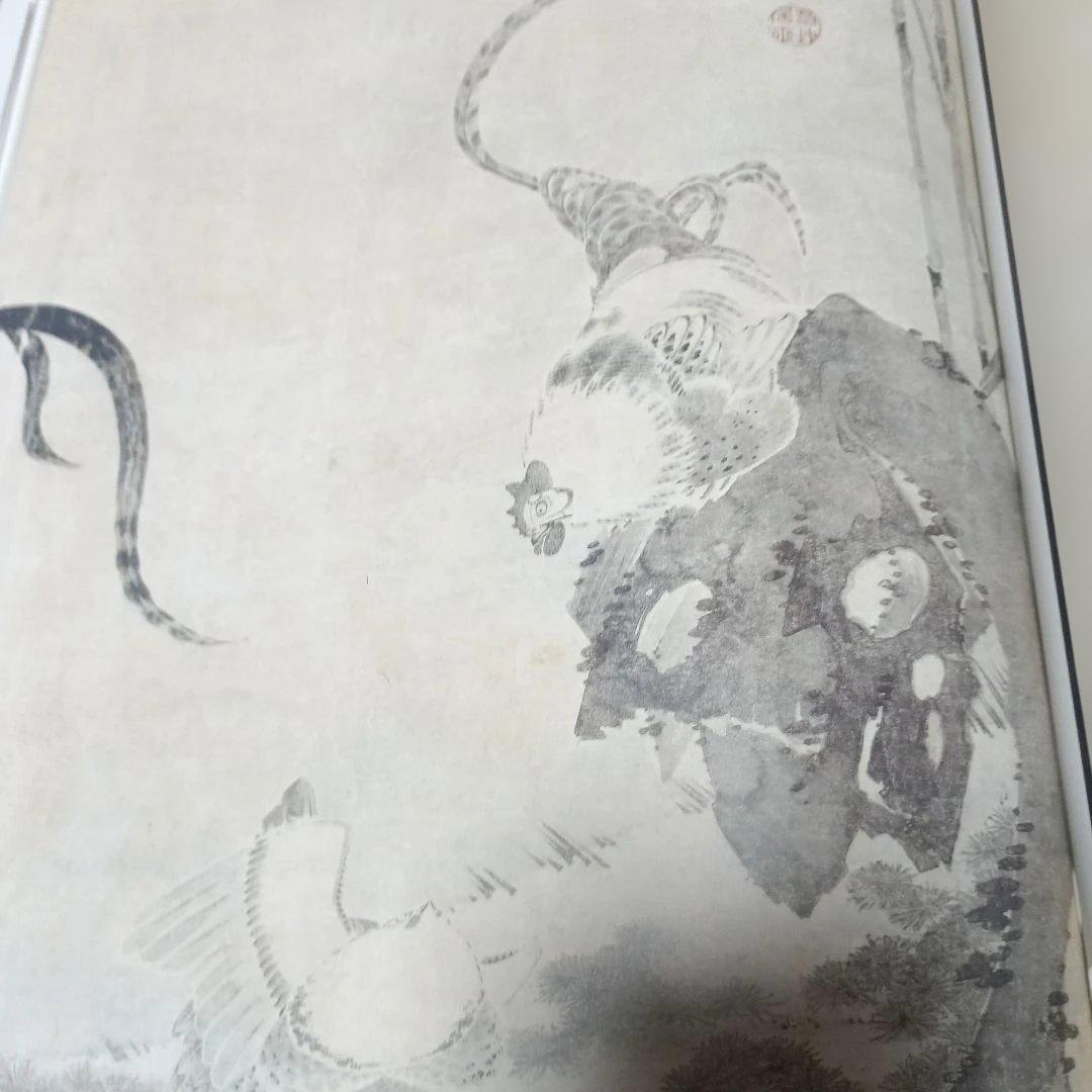 若冲！特別展カタログ