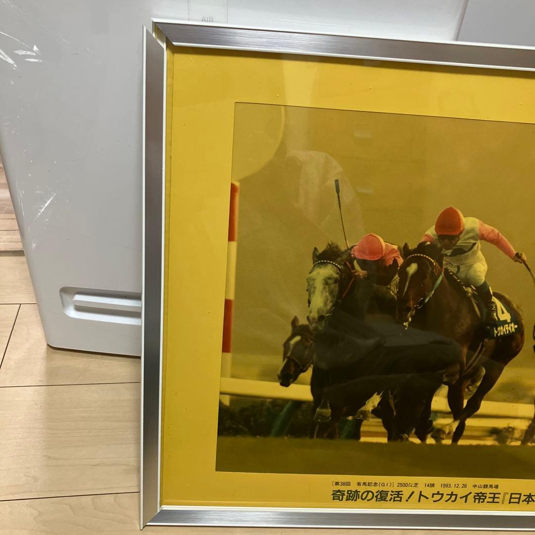 日刊スポーツ　トーカイテイオー公式パネル写真