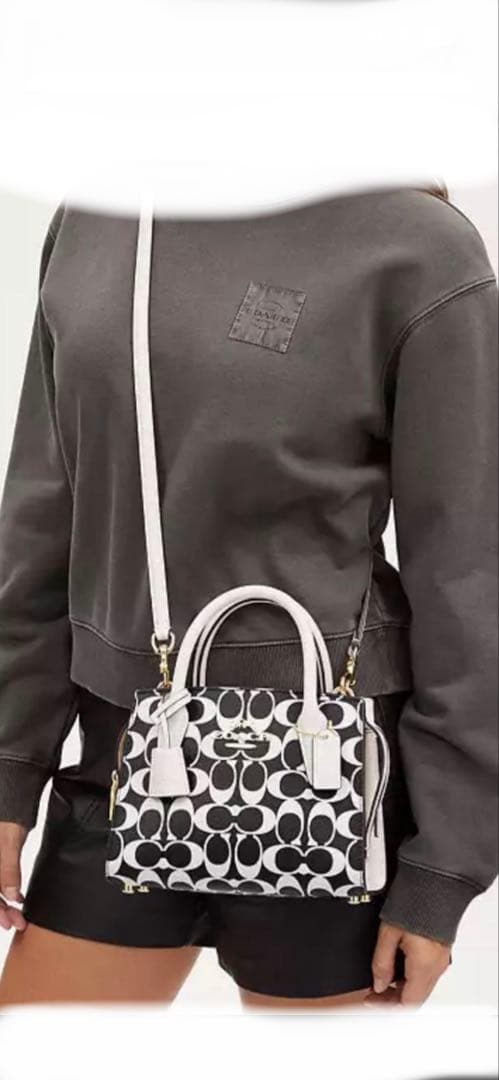 COACH アンドレア キャリーオール・シグネチャー キャンバスCP080