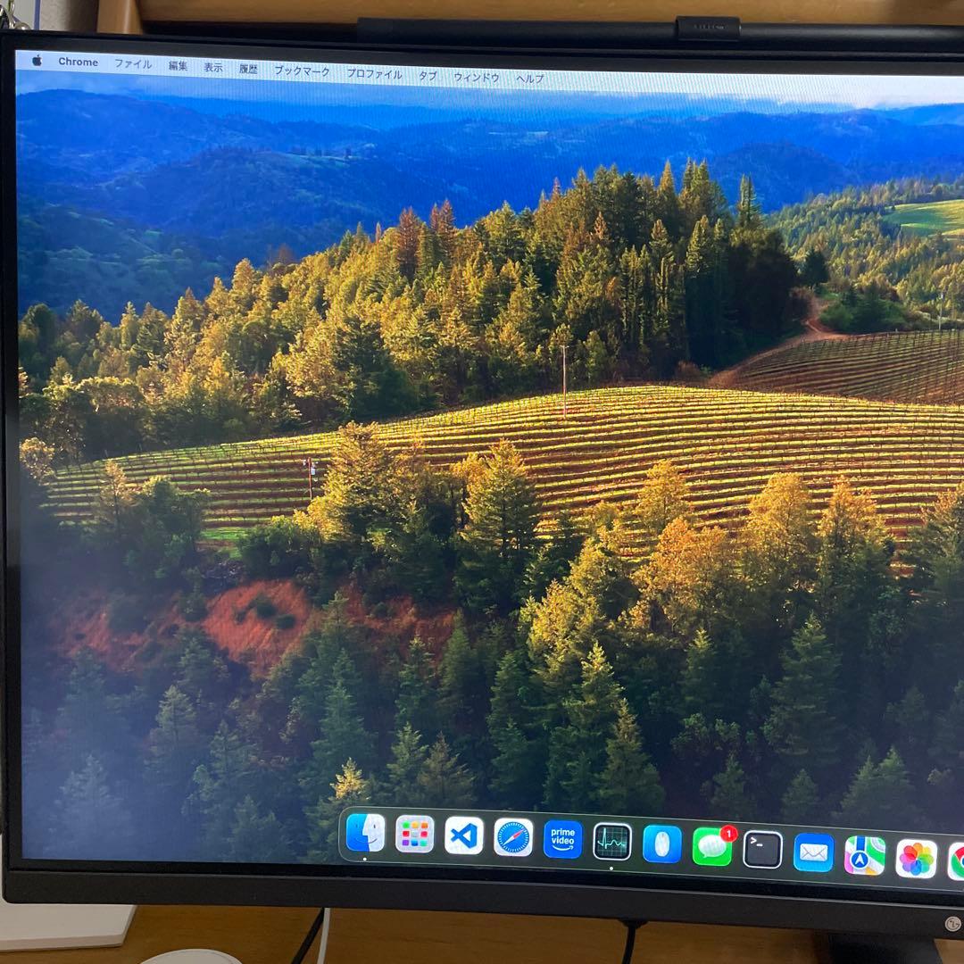 LG 34GL750 ウルトラワイドモニター 本体　ディスプレイ