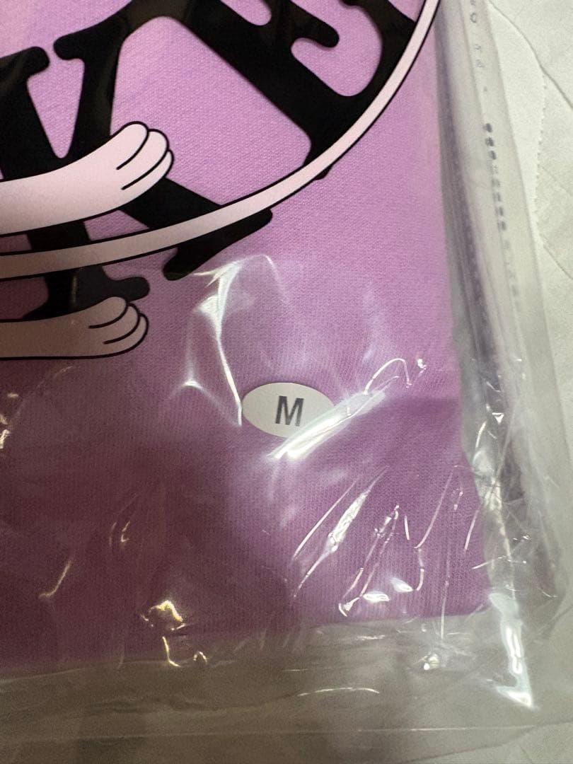 BUMP OF CHICKEN ポケモン アカシア パーカー