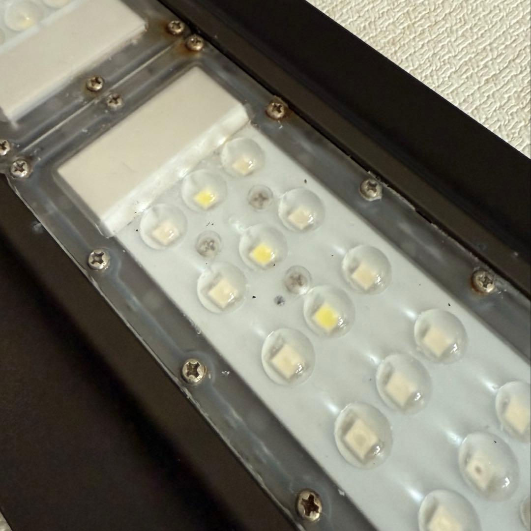 NEMO LIGHT Ⅱ ニモライト2 海水魚