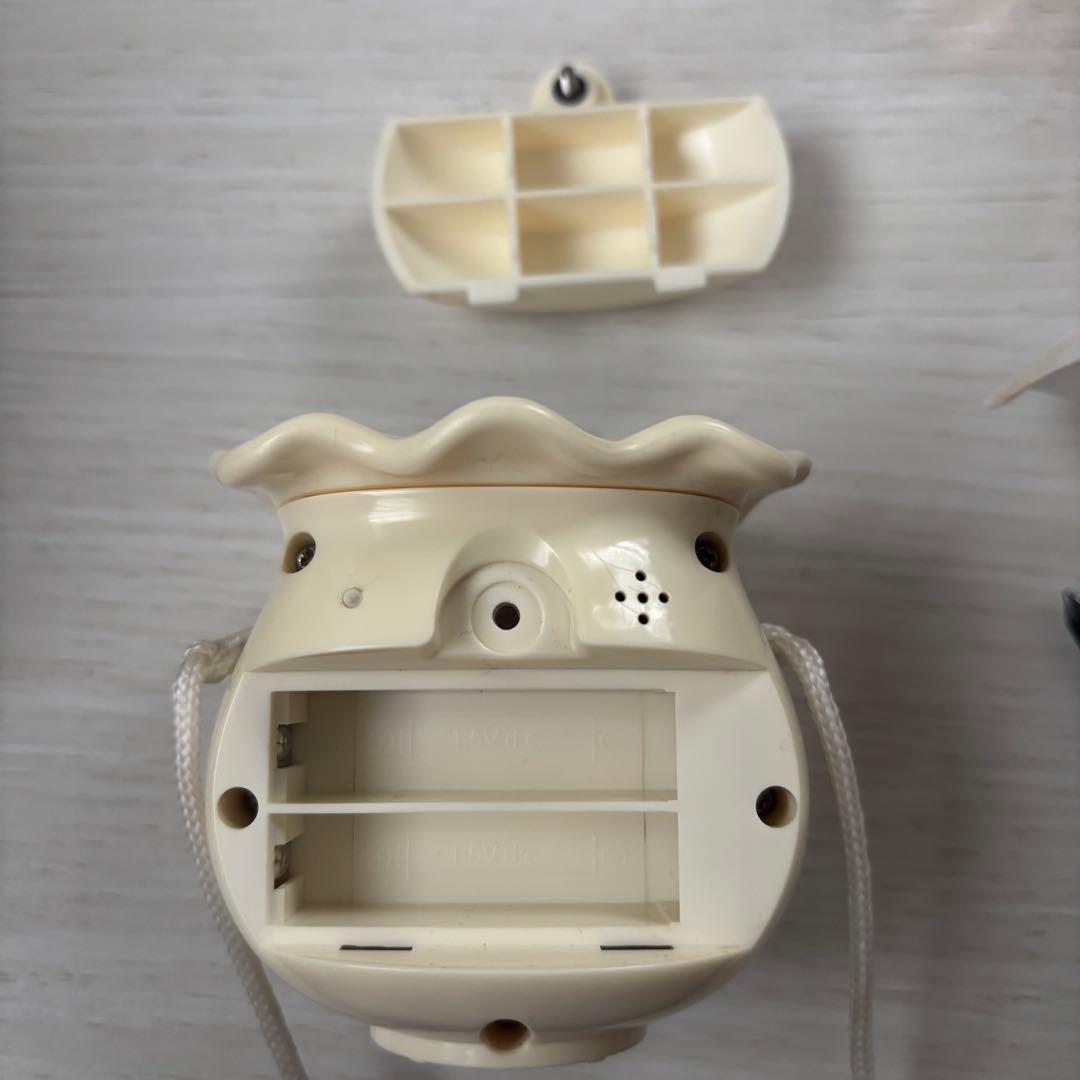 まめゴマ 飼育日記