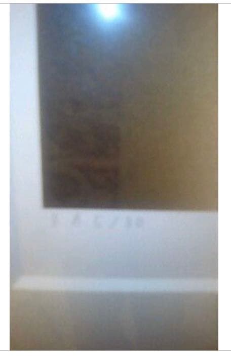 天野喜孝リトグラフ「レース」