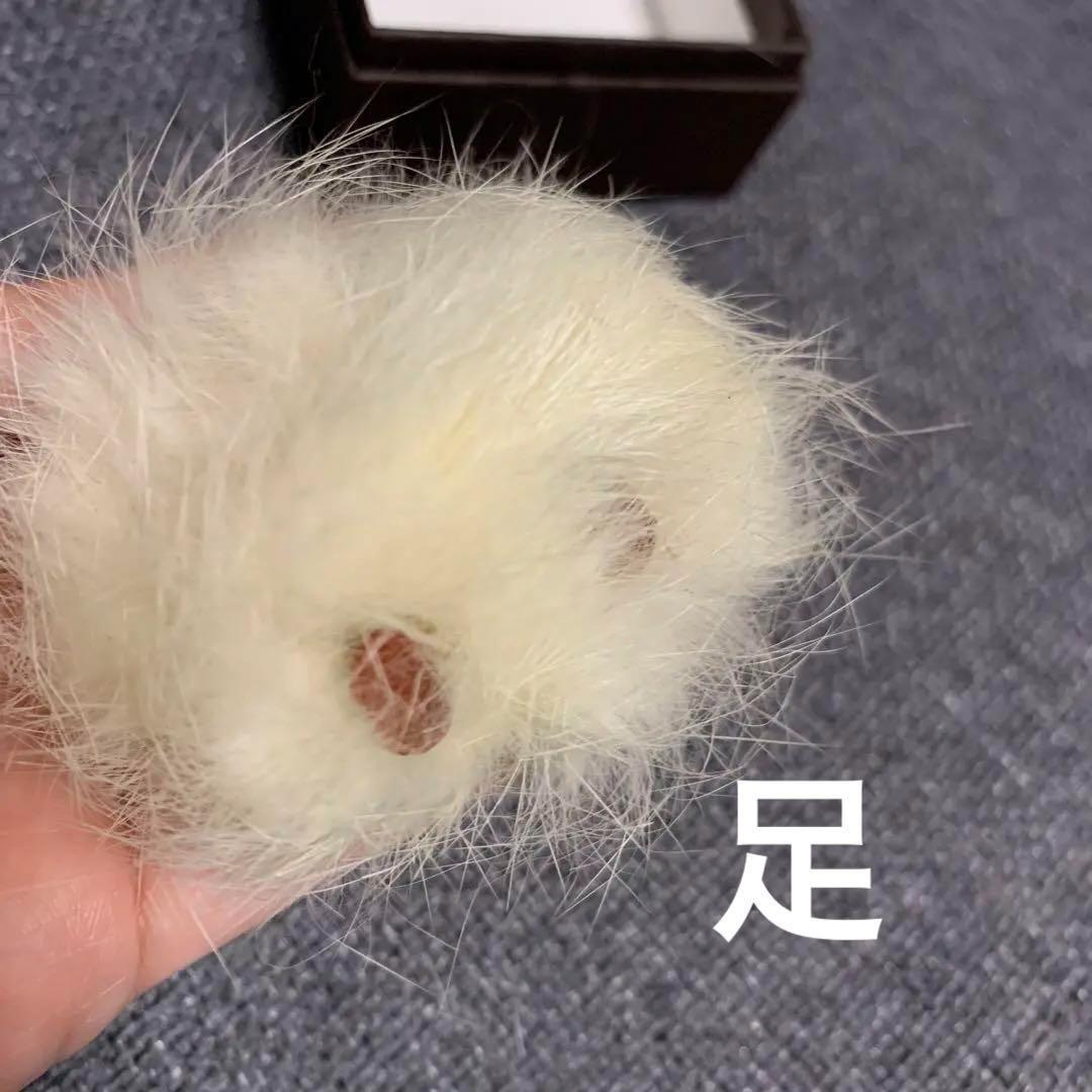 ◎ 希少　レア　キューピー　人形　毛