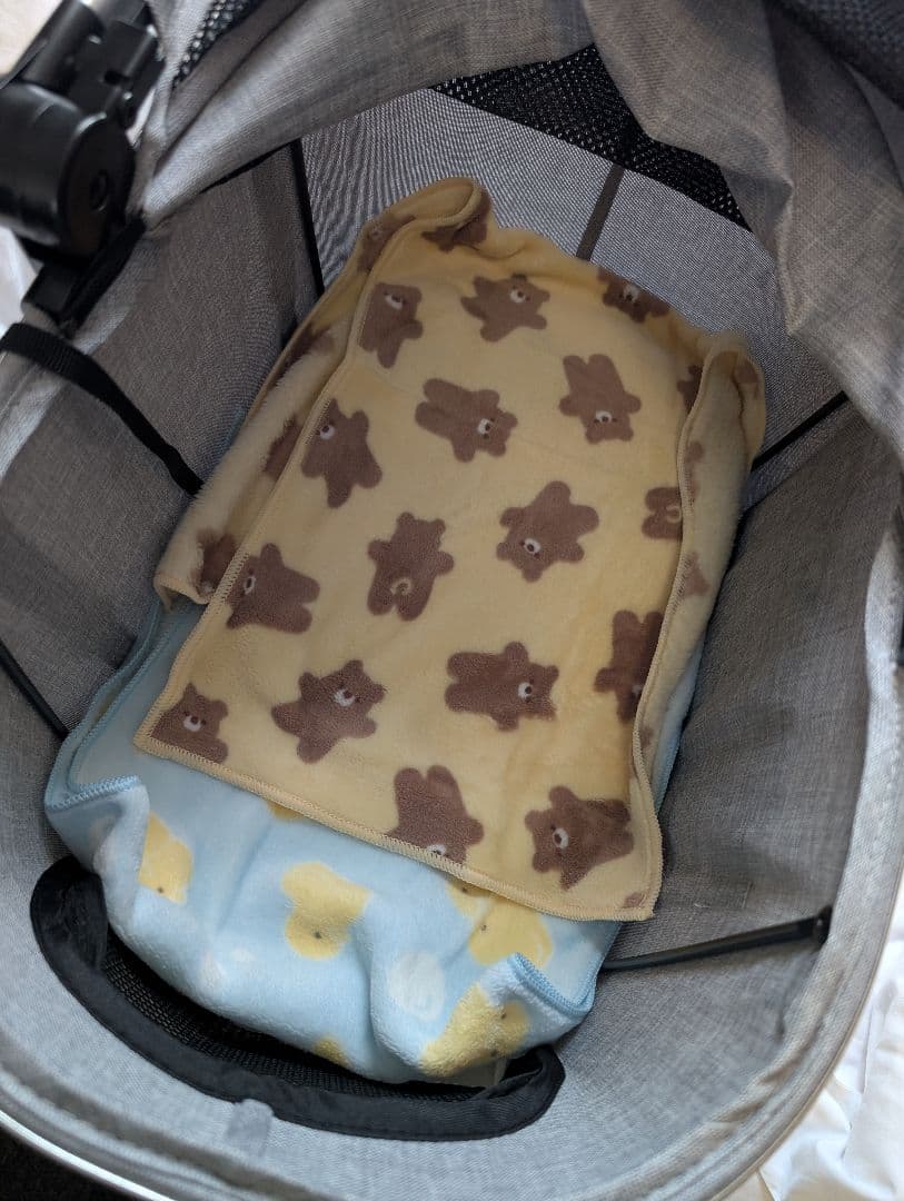 【一度使用美品】CAINZ カインズ　電車に乗せられるペットカート