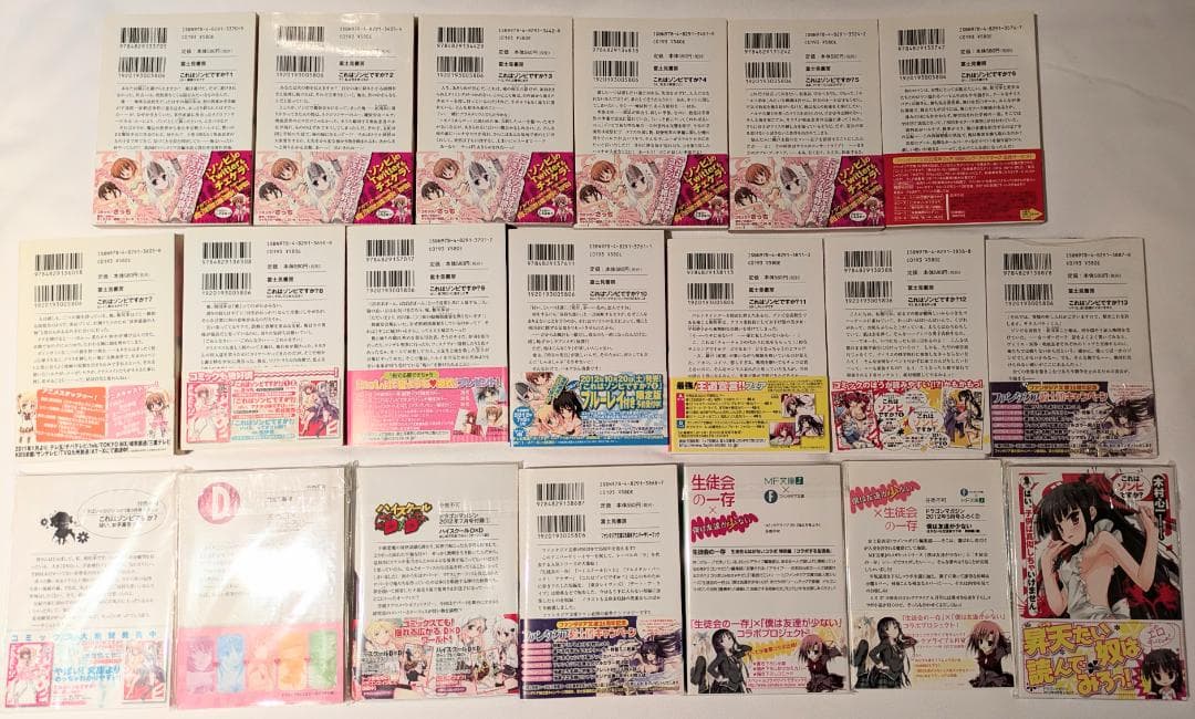 小説 ファンタジア文庫 生徒会の一存 これはゾンビですか？ ライトノベル