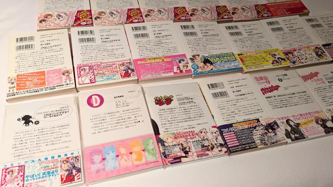 小説 ファンタジア文庫 生徒会の一存 これはゾンビですか？ ライトノベル