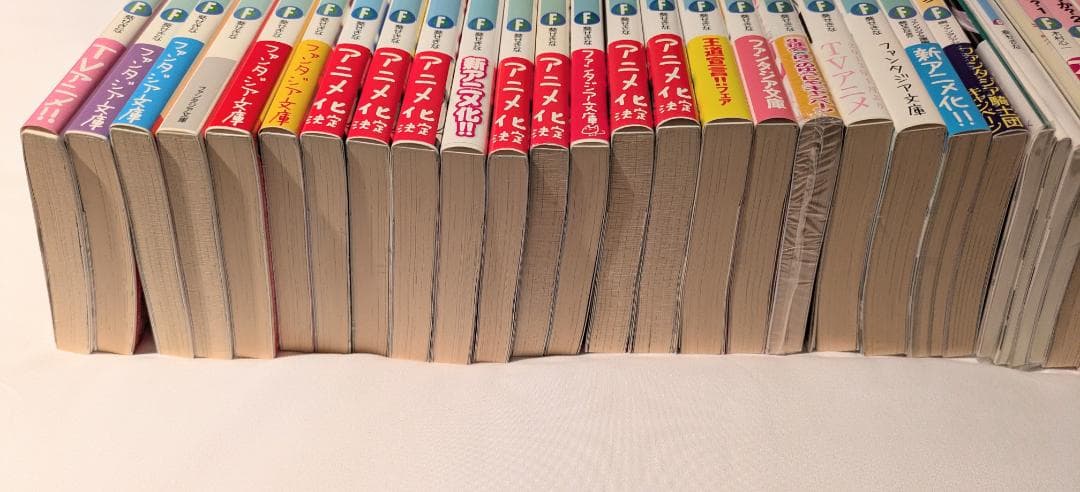 小説 ファンタジア文庫 生徒会の一存 これはゾンビですか？ ライトノベル