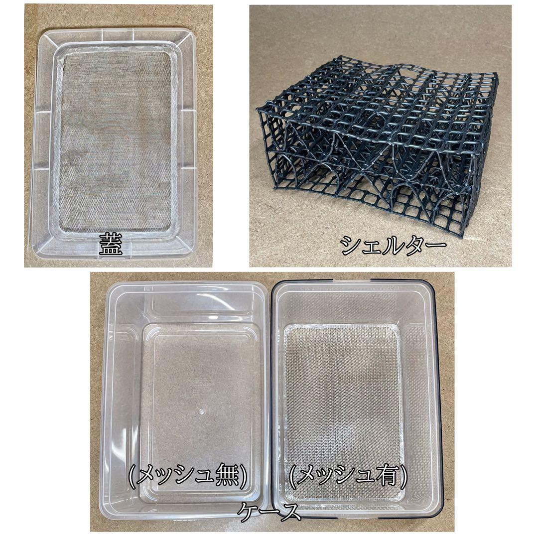 iReiNa様　S(フル)(コ)