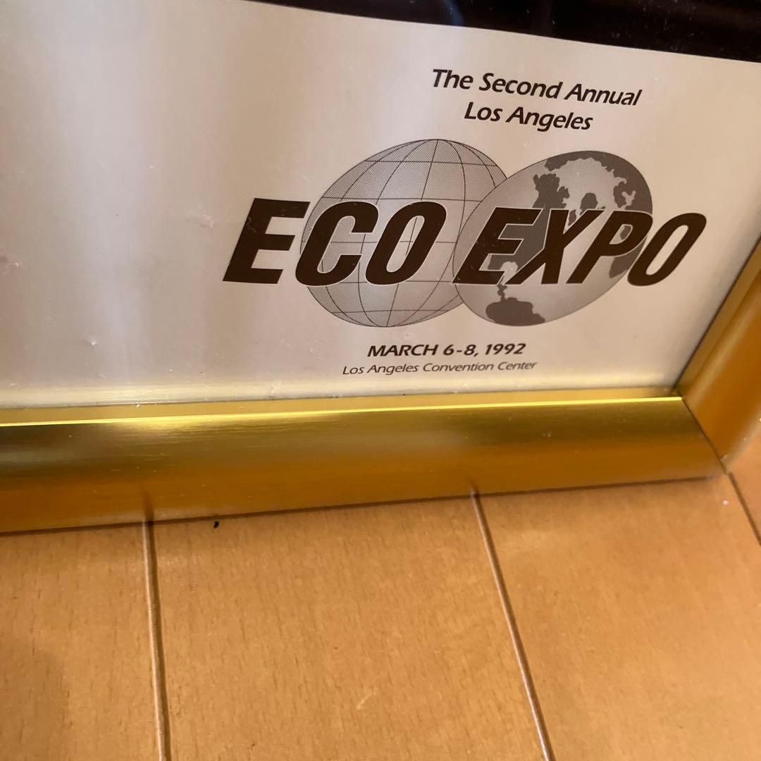 イルカポスター　額入り