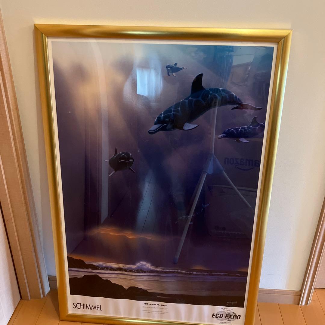 イルカポスター　額入り
