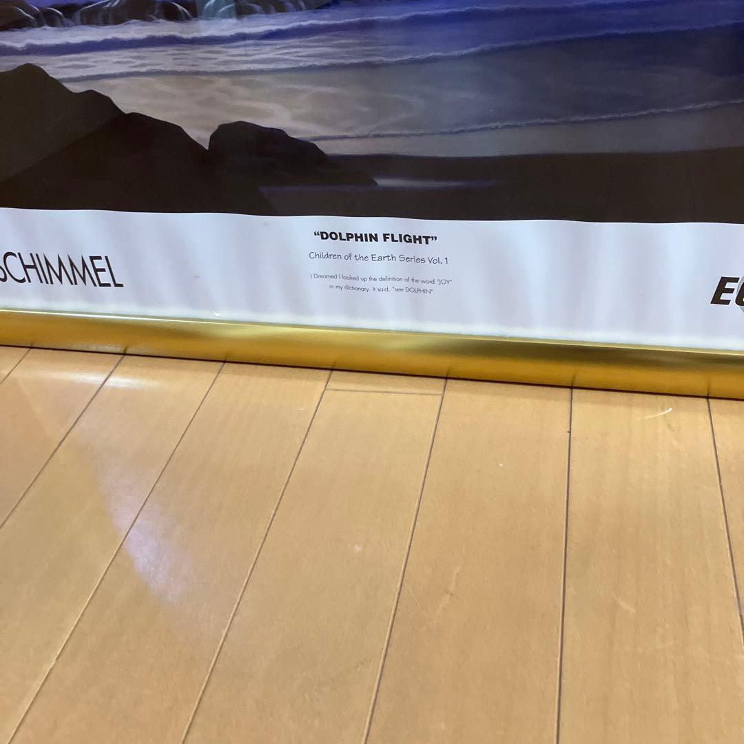 イルカポスター　額入り