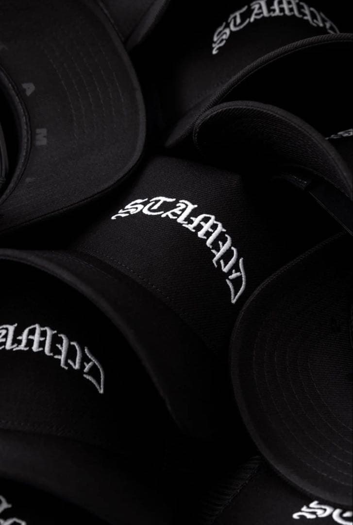 新品未使用 STAMPD ARCH LOGO TRUCKER