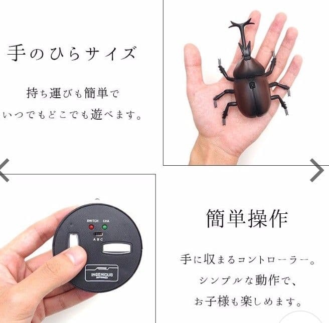 リアル昆虫ラジコン カブト虫&クワガタ