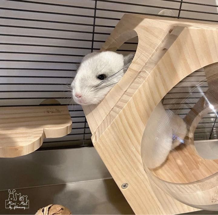 お年玉キャンペーン中!!宇宙船型ハウス チンチラハウス 小動物用 ペットハウス