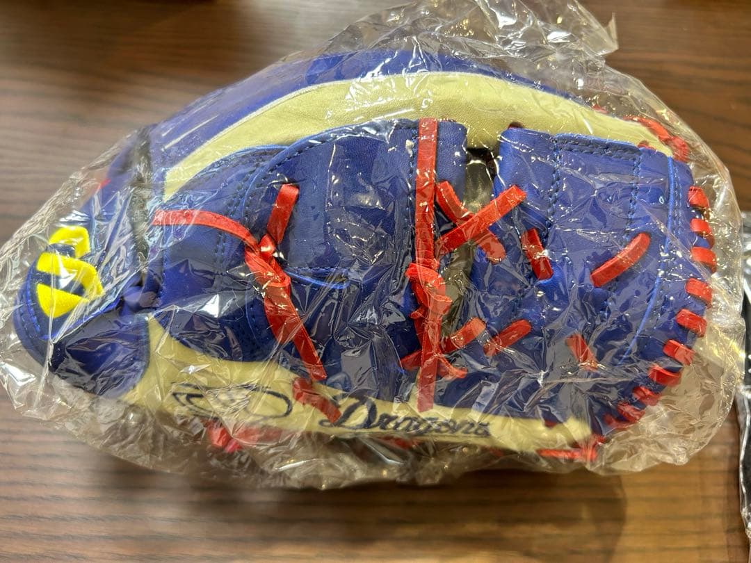 ミズノ 新品 ナゴヤドーム5周年記念 中日ドラゴンズ5選手サイン刻印 グラブ 袋