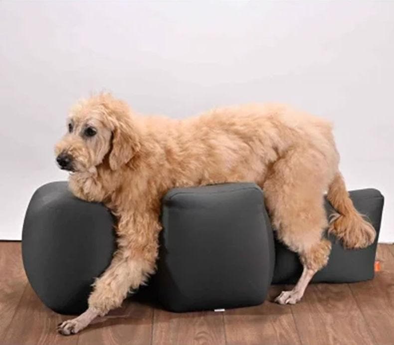 OneAid ワンエイド リラクッションLL（大型犬用）撥水カバー付き