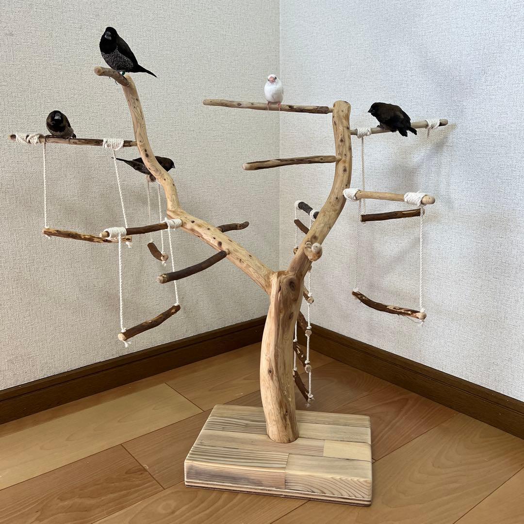 【小鳥用】わぃわぃ楽しい♬ブランコ&ハシゴ付 バードアスレチック