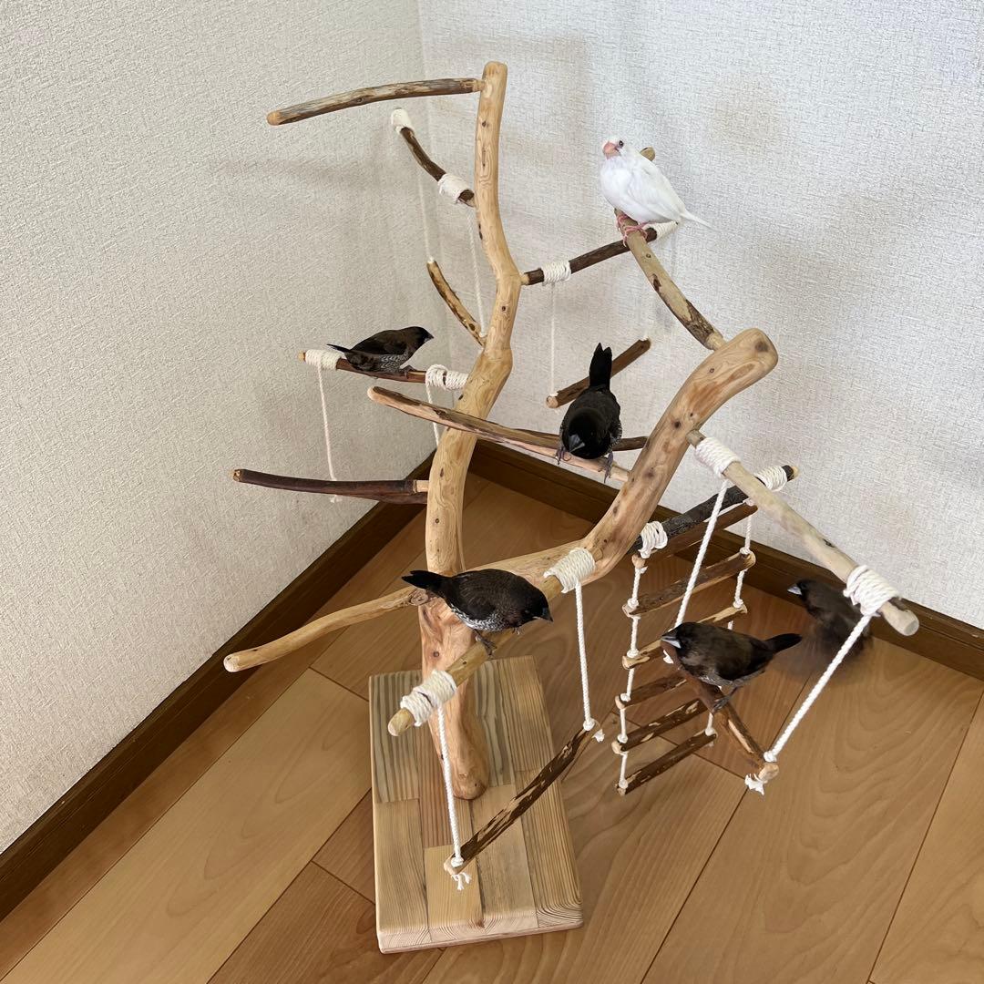 【小鳥用】わぃわぃ楽しい♬ブランコ&ハシゴ付 バードアスレチック