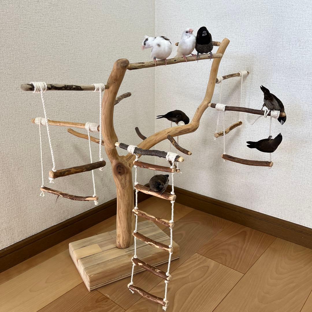 【小鳥用】わぃわぃ楽しい♬ブランコ&ハシゴ付 バードアスレチック