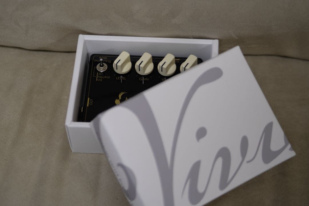 ギター Vivie MINERVA scion