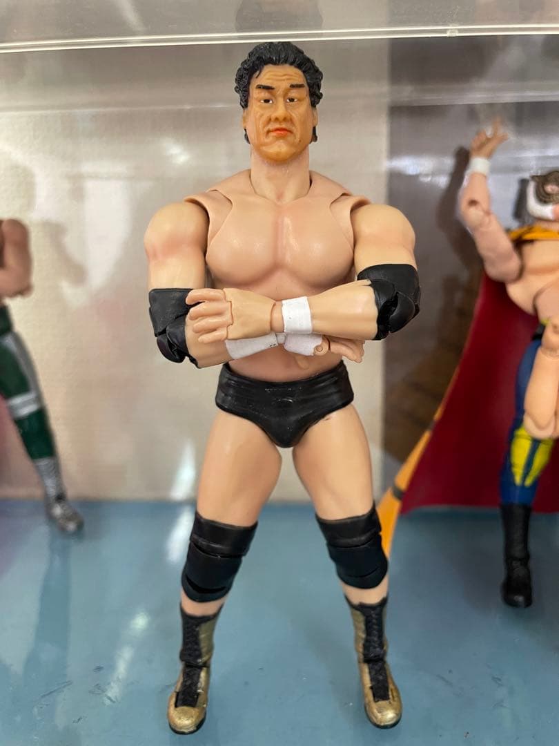 S.H.フィギュアーツ　天龍源一郎　カスタムフィギュア