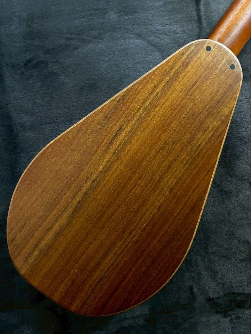 ギター K.Yairi TEKTEK-01