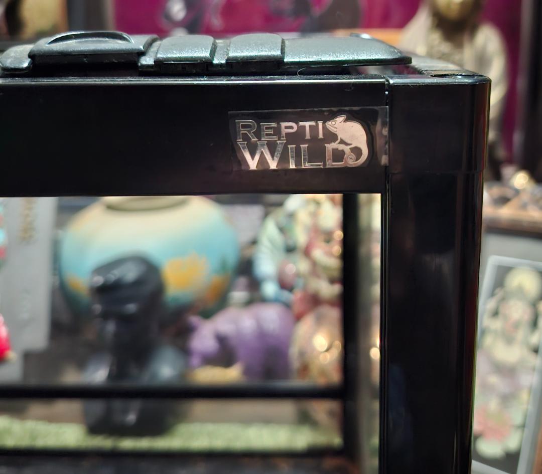 最終価格！レプティワイルド　パンテオン６０４５