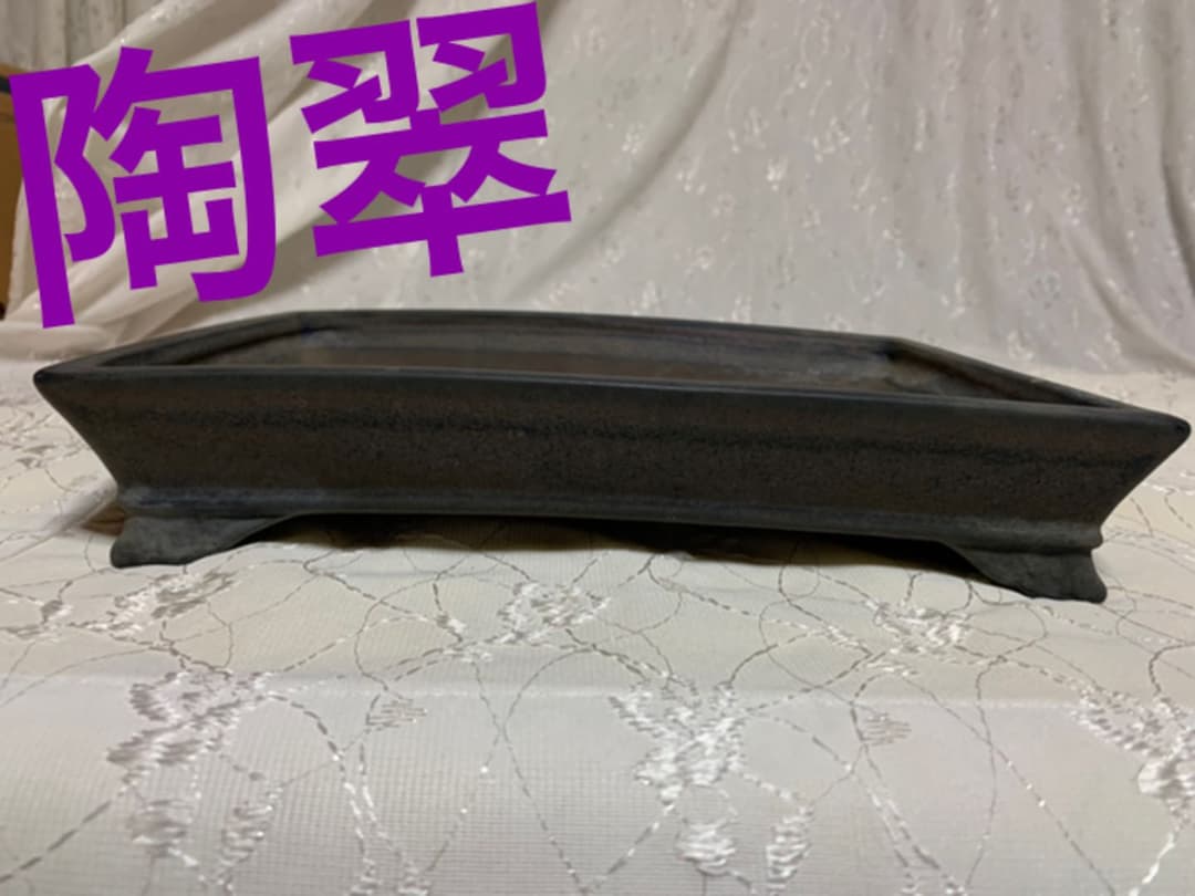陶翠　やや大きめ　盆栽鉢