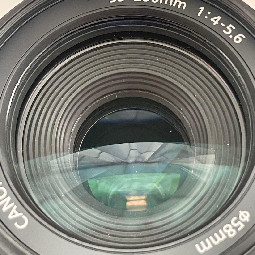 動作品 Canon EF-S 55-250mm ズームレンズ