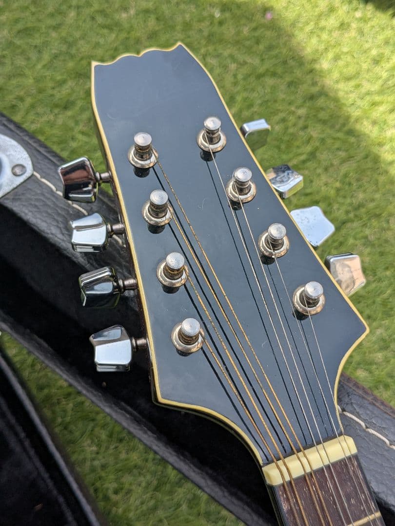 美品 Aria AM-200 フラットマンドリン バードケース付属品多数 アリア