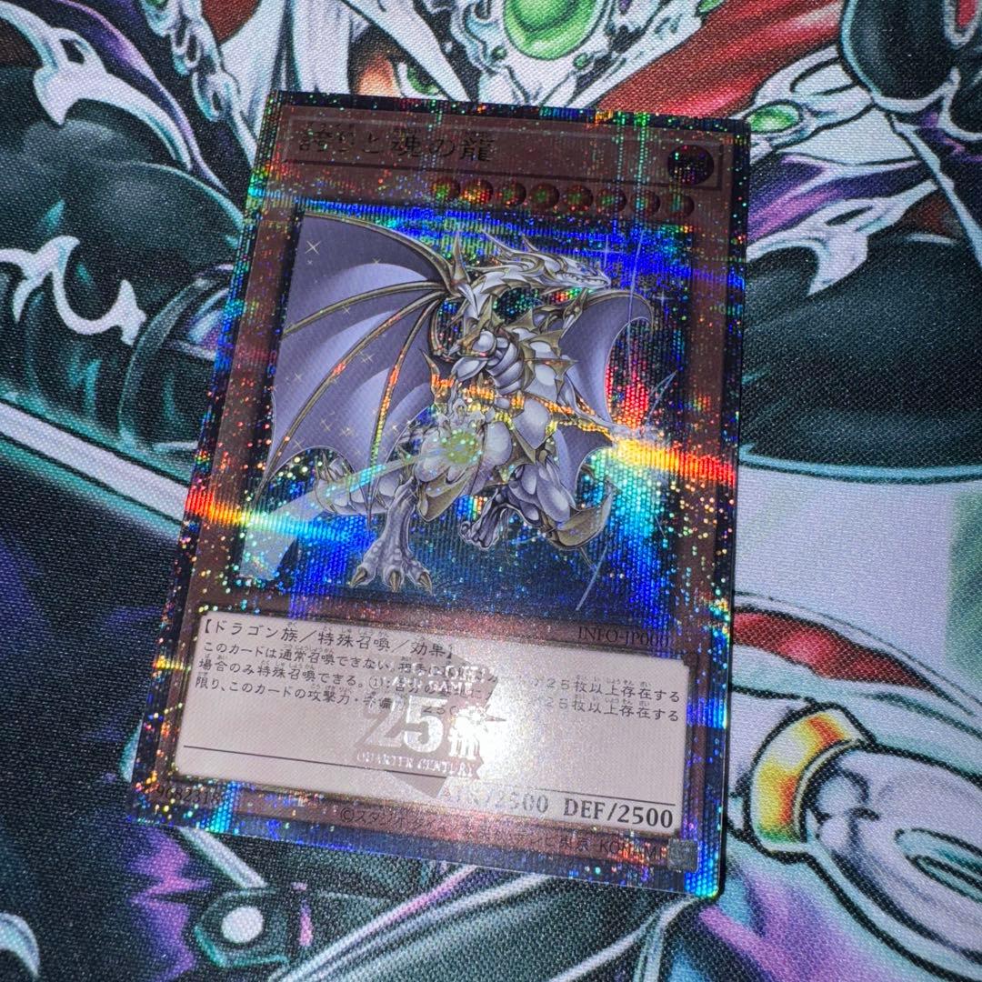 誇りと魂の龍 (INFO-JP000)　25th