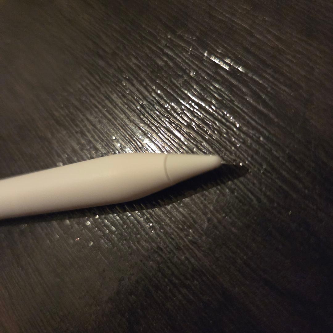 狸tampocon美品！iPad Pro&Apple Pencil Pro