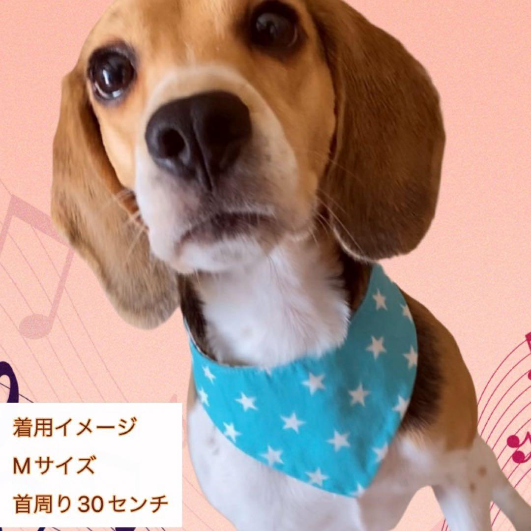 犬ネコ用リバーシブルバンダナ★着用イメージ写真★