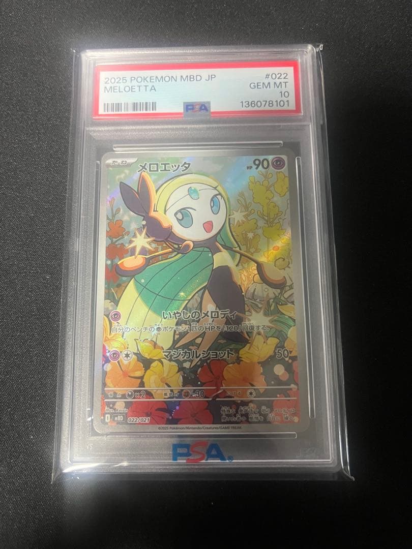 メロエッタ　AR