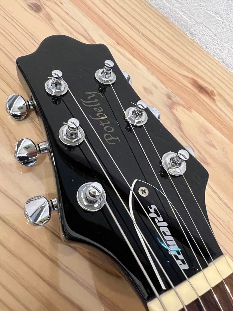 EDWARDS E-PO-100D Seymour Duncan PU搭載