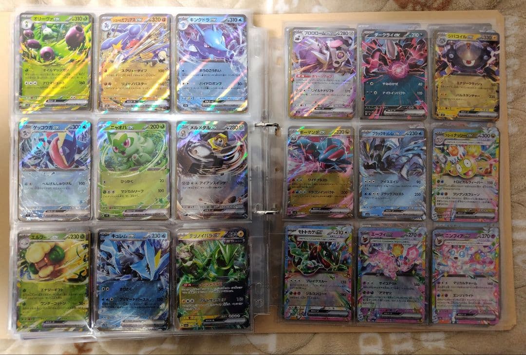 ポケモン 図鑑 コンプリートファイル