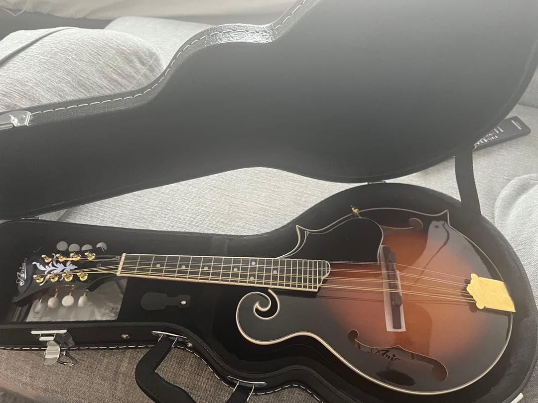 ARIA AM-40 フラットマンドリン